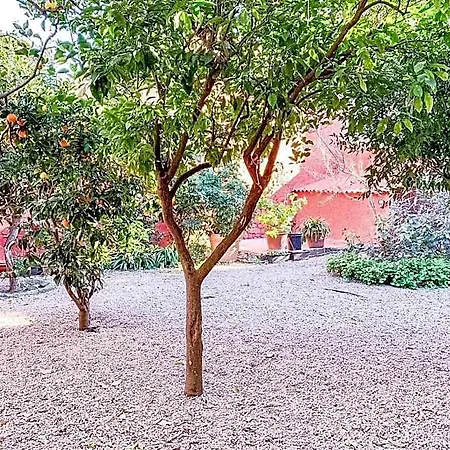 Διαμέρισμα Liguria Garden Όλμπια