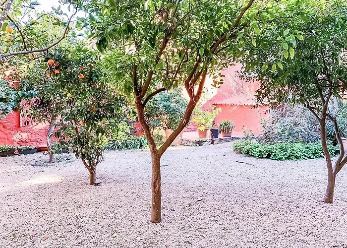 Liguria Garden * Olbia